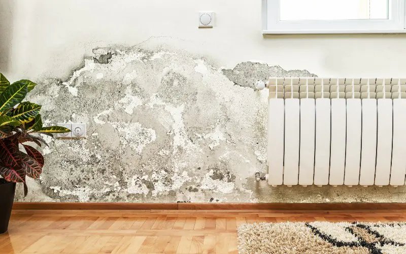 Isolation contre l'humidité côtière
