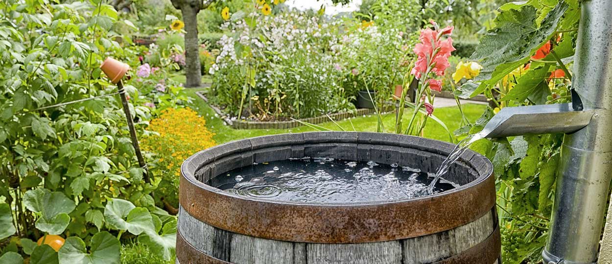 Récupération eau de pluie